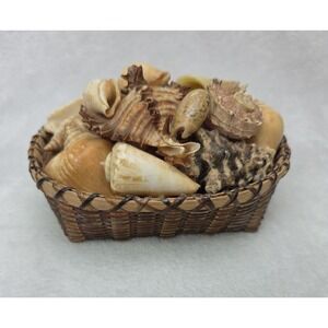 Vintage Basket With Sea Shells Beach Decor Sea Shell Pomander Ben Rickert USA